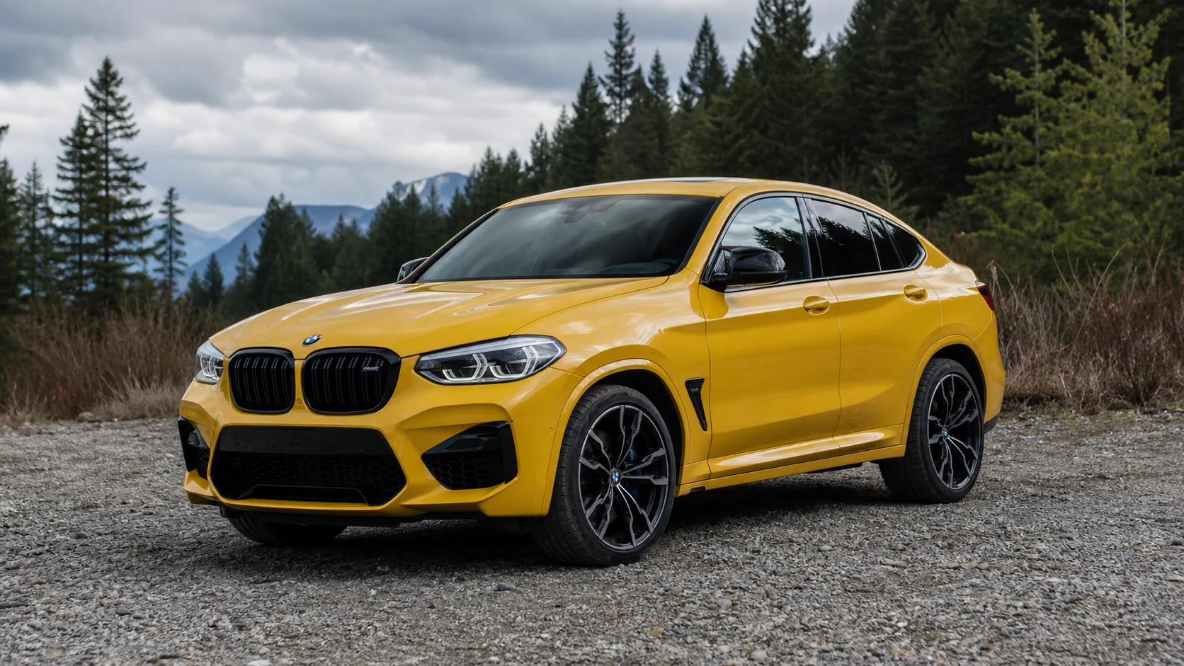 Dark BMW X4M coupe SUV stock-style ECU tuning product image